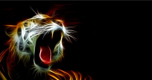 Tank Tigers Selected as Global Installation Partner for Jetaire Group’s INVICTA™ Fuel Tank Safety System